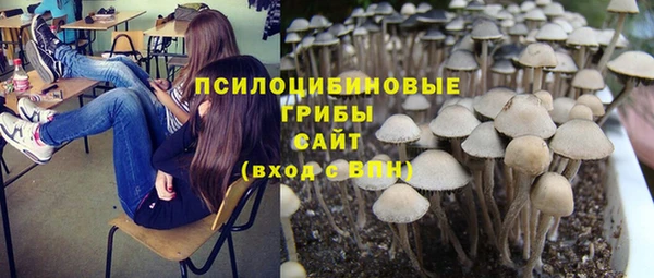марихуана Новозыбков