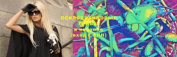 эйфоретик Новодвинск