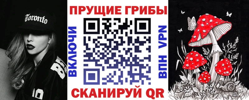 Псилоцибиновые грибы MAGIC MUSHROOMS omg маркетплейс Новомичуринск хочу